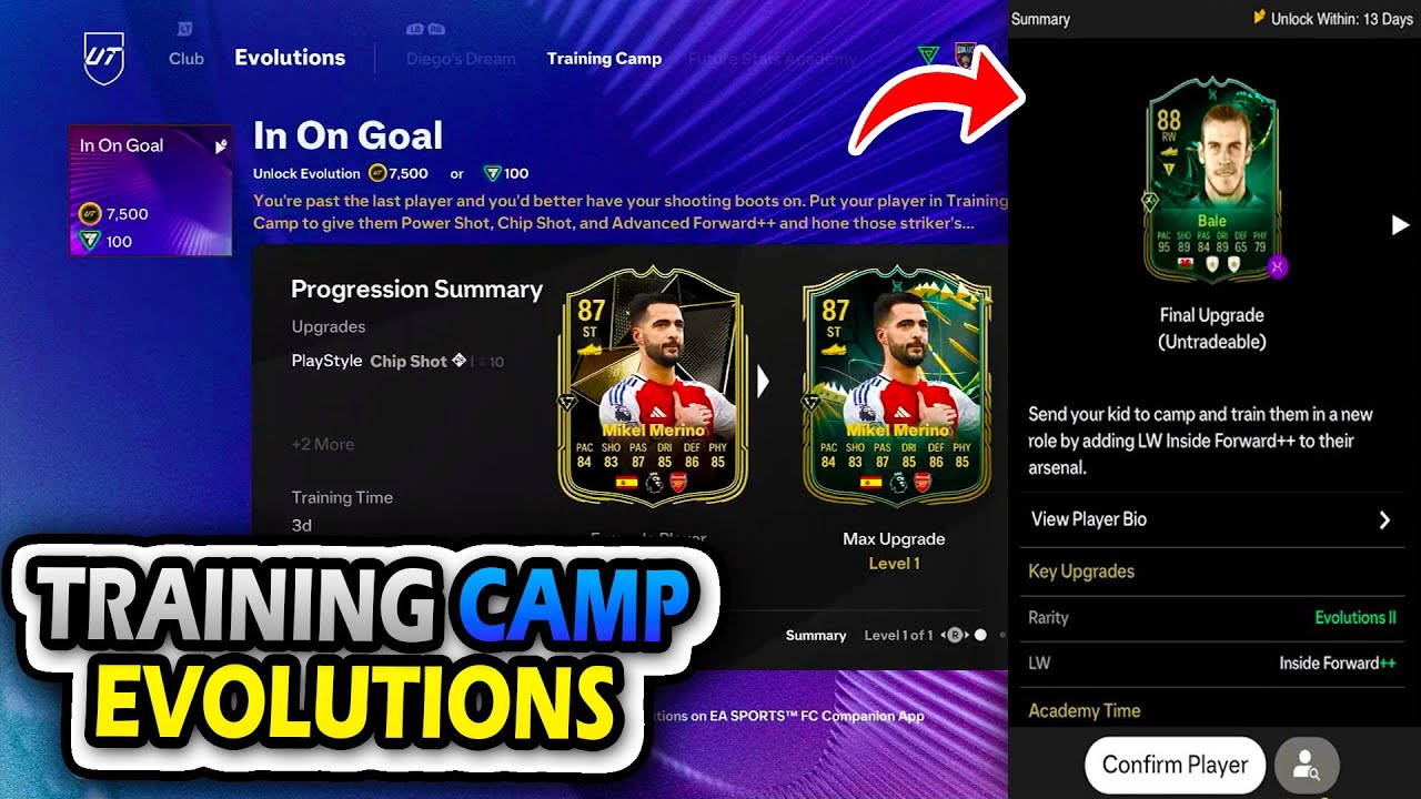 Training Camp Evo Guide! ⭐️ EVERYTHING YOU NEED TO KNOW 🔥 Fc 25