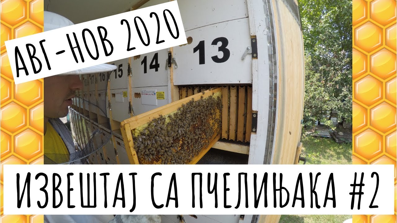 IZVEŠTAJ: Radovi na pčelinjaku od avgusta do novembra 2020 - Pčelarsko gazdinstvo Novković