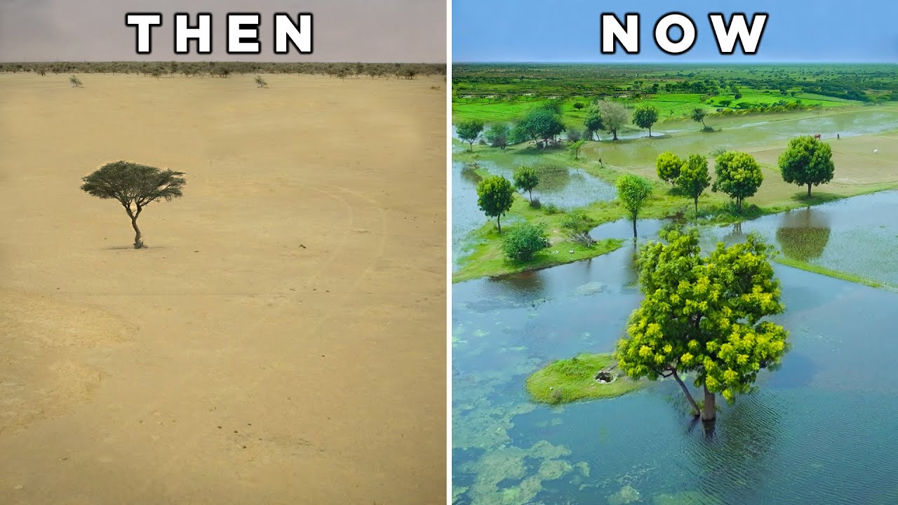 How India is Turning its Desert into a Farmland Oasis