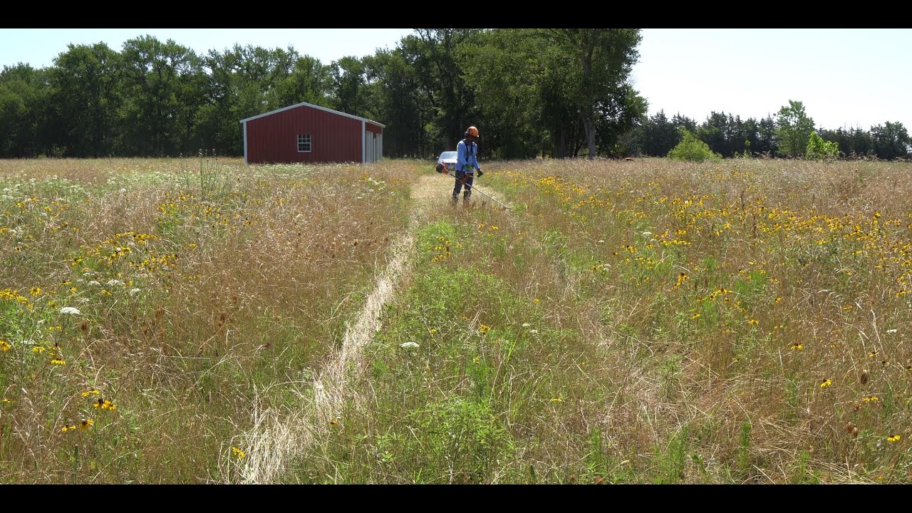 Putting My New Husqvarna 525 RX to Good Use