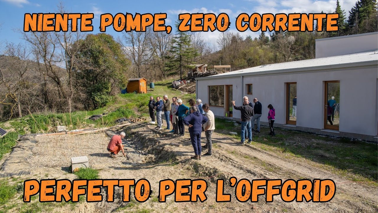 Fitodepurazione a Flusso Orizzontale: Come Funziona, Costi e Permessi