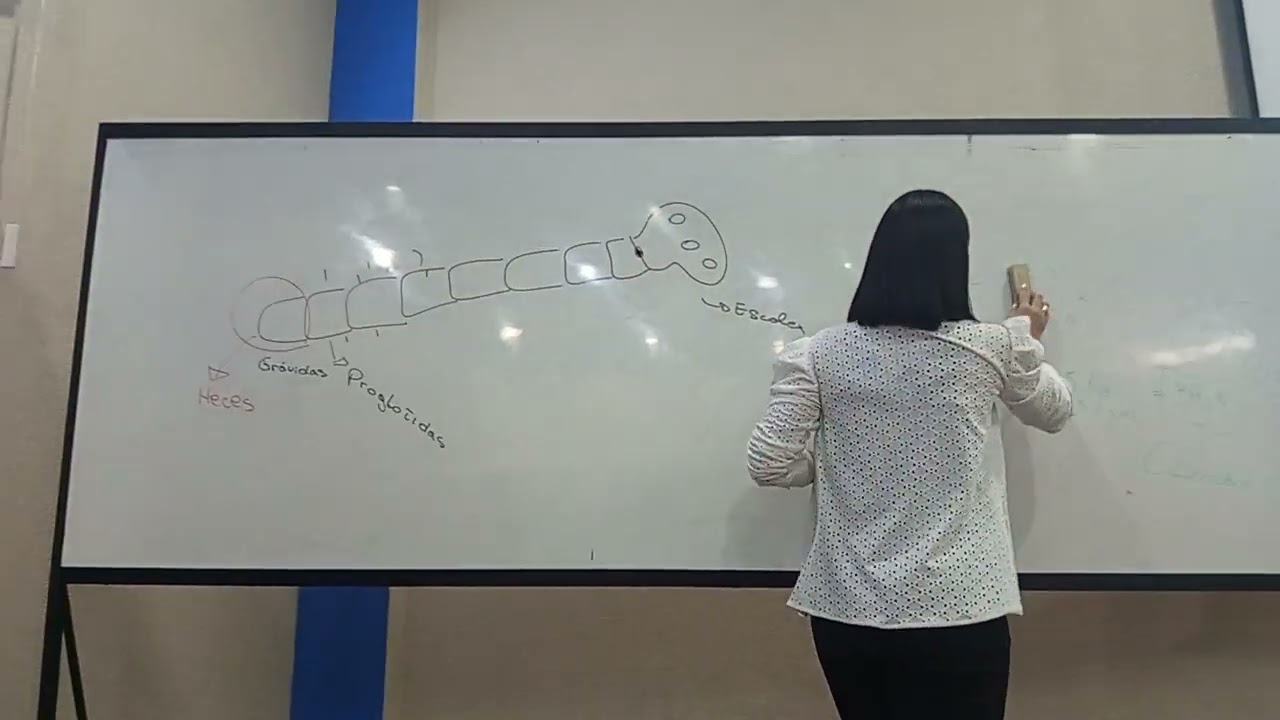 Bioquímica - enzimas continuação - parte 1