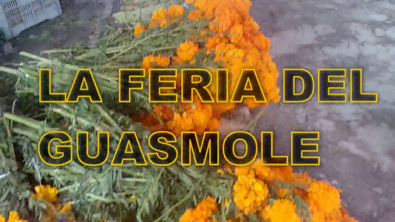 San José Tenango| La Feria del Guasmole 2017.