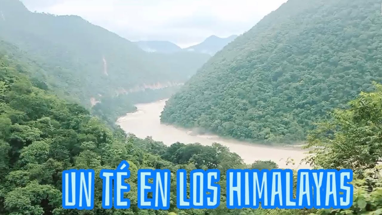 UN TÉ EN LOS HIMALAYAS QUE TERMINO EN OTRO LADO!
