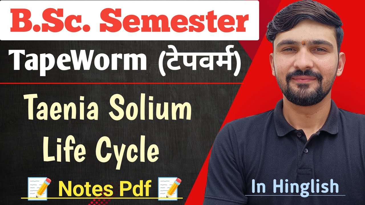 Taenia Solium Life Cycle | Tapeworm | Non Chordates | BSc Semester || By Dadhich Sir