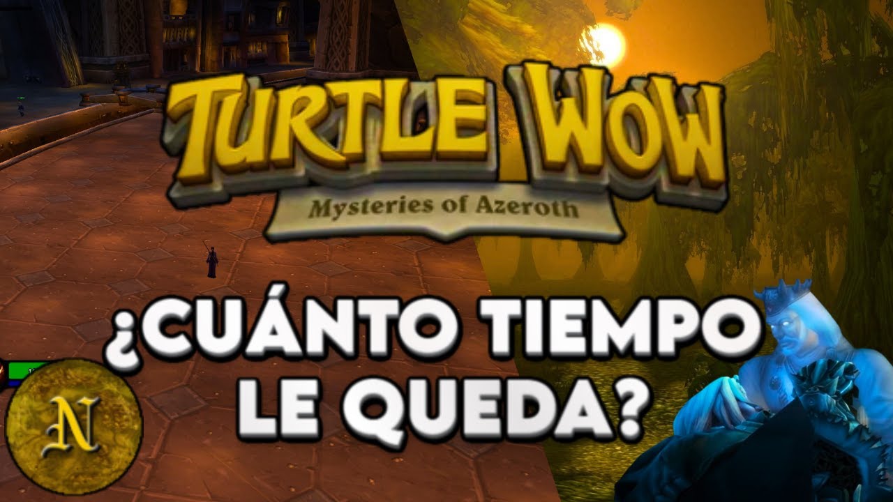 🐢 TURTLE WOW LATAM 🌍 &iquest;PORQU&Eacute; SE VUELVEN TODOS A EUROPA?