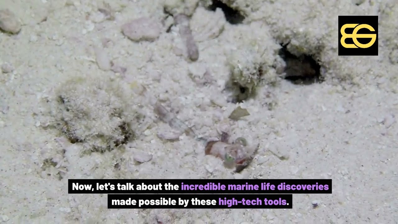 Unveiling the Secrets of the Deep Sea: High-Tech Exploration Revealed
