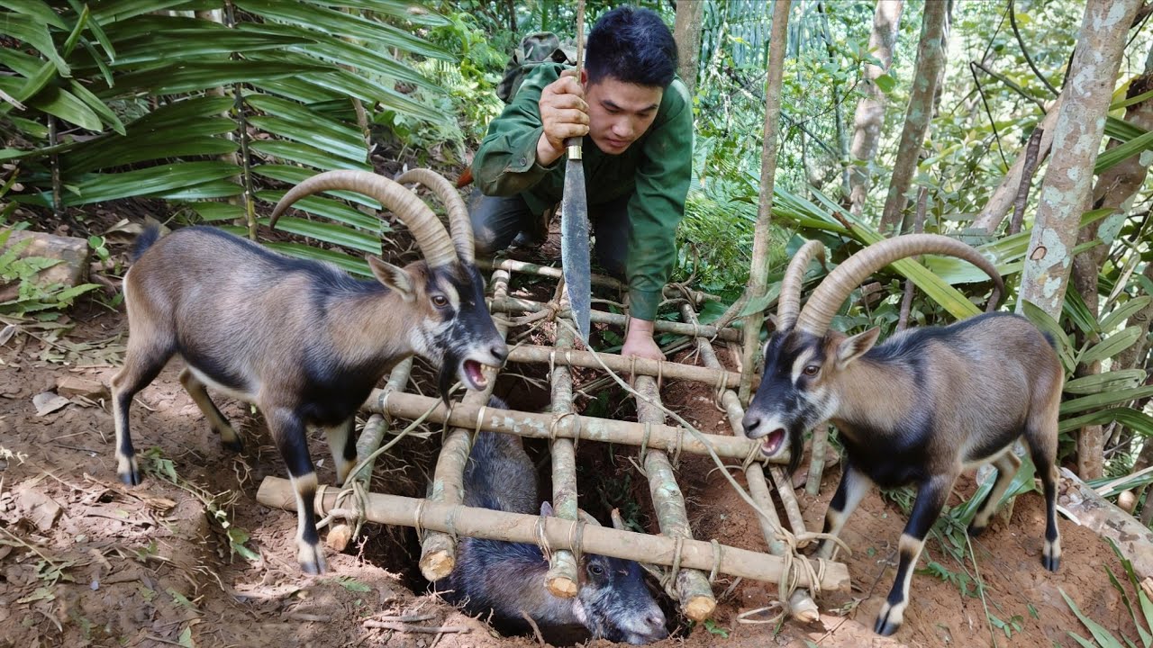 FULL VIDEO: 200 Days of Hunting and Trapping Goats: Wild Goats Caught in Traps - survival skills
