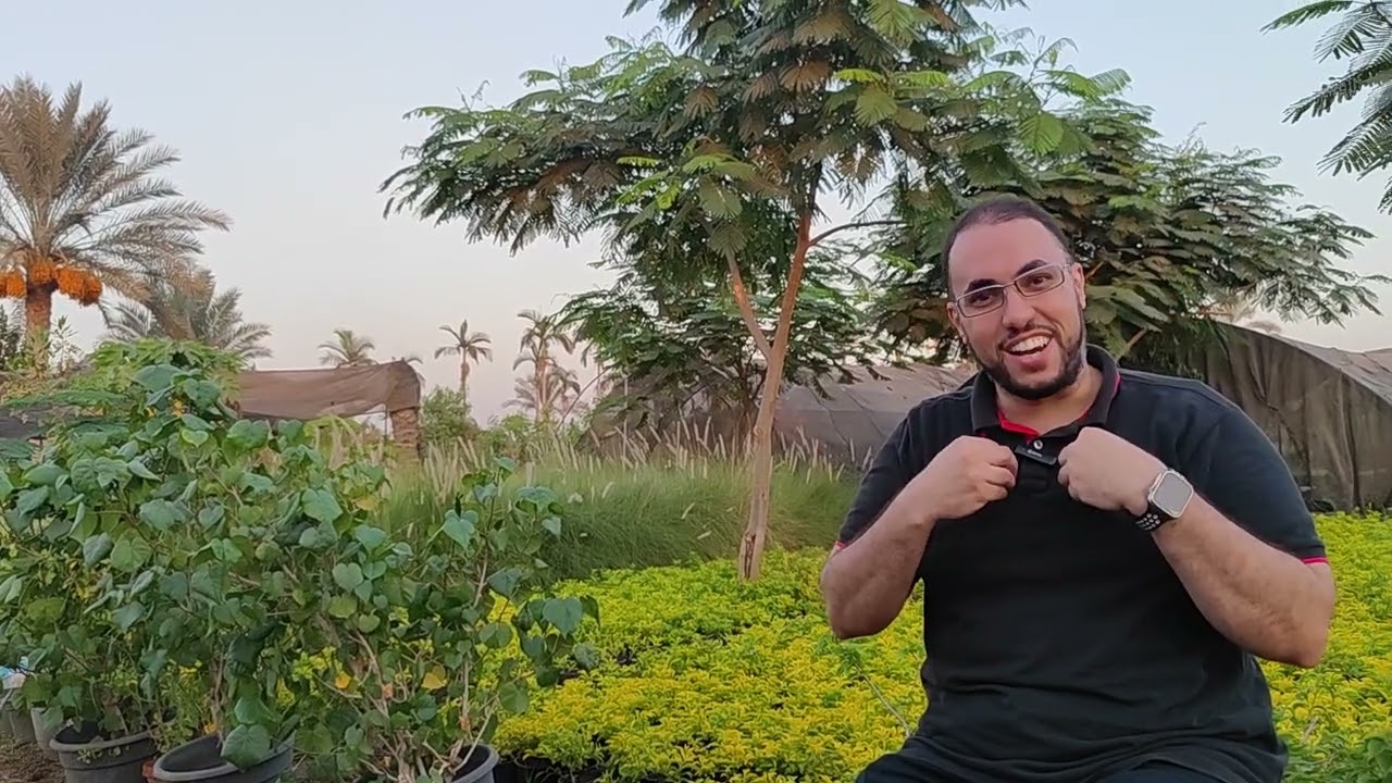 ازاي تغير القدر بالدعاء وتغير حالك وتحقق كل امنياتك