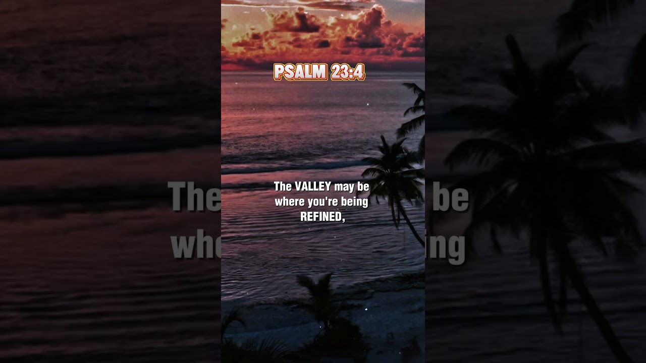 Psalm 23:4 