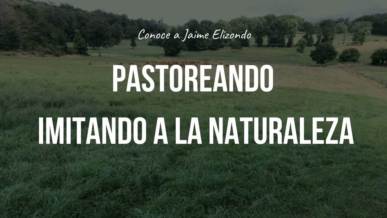 Imitando a la naturaleza - Cómo funcionaba el ecosistema antes del hombre moderno - Jaime Elizondo