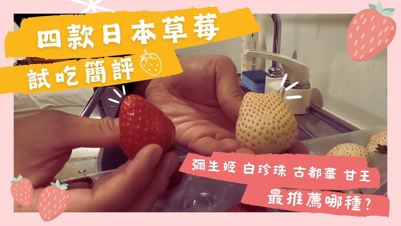 四款日本草莓評比 都值得買嗎？ 哪種CP值最高？！ #彌生姬 #白珍珠 #古都華 #甘王 #pearlwhite #japan