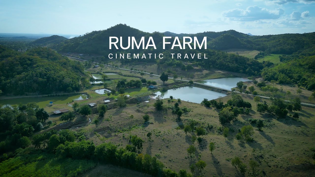 RUMA FARM [Cinematic Travel] : สาวรัฐฉาน