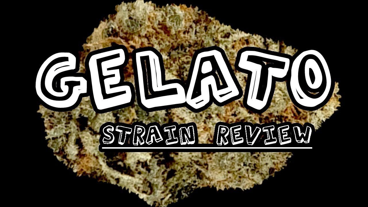 Strain Review - Gelato