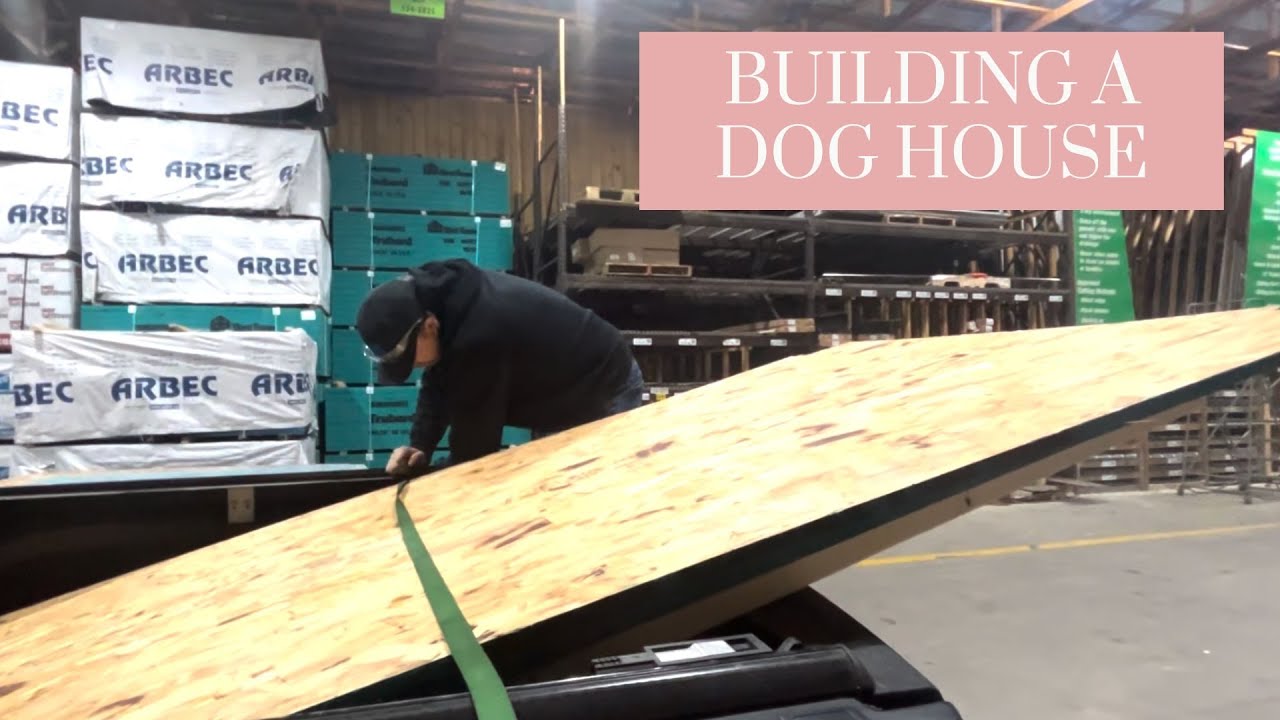 Building a Dog House!