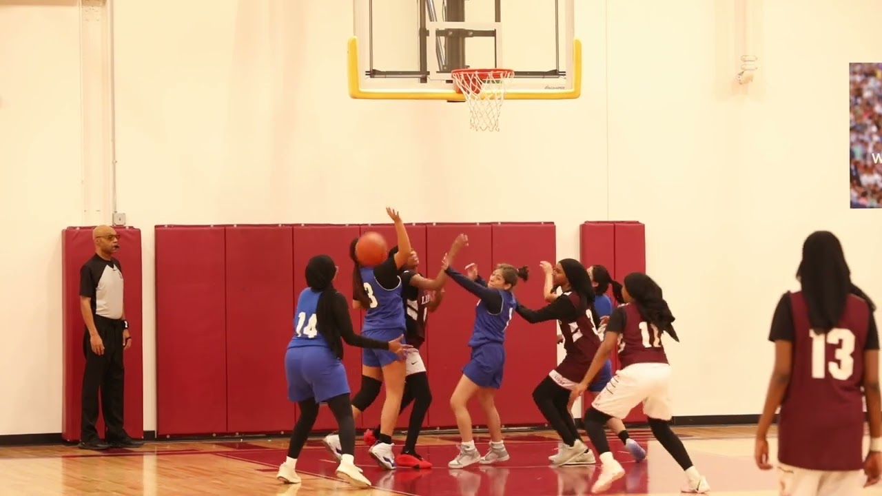Metro schools College prep VS Lincoln International