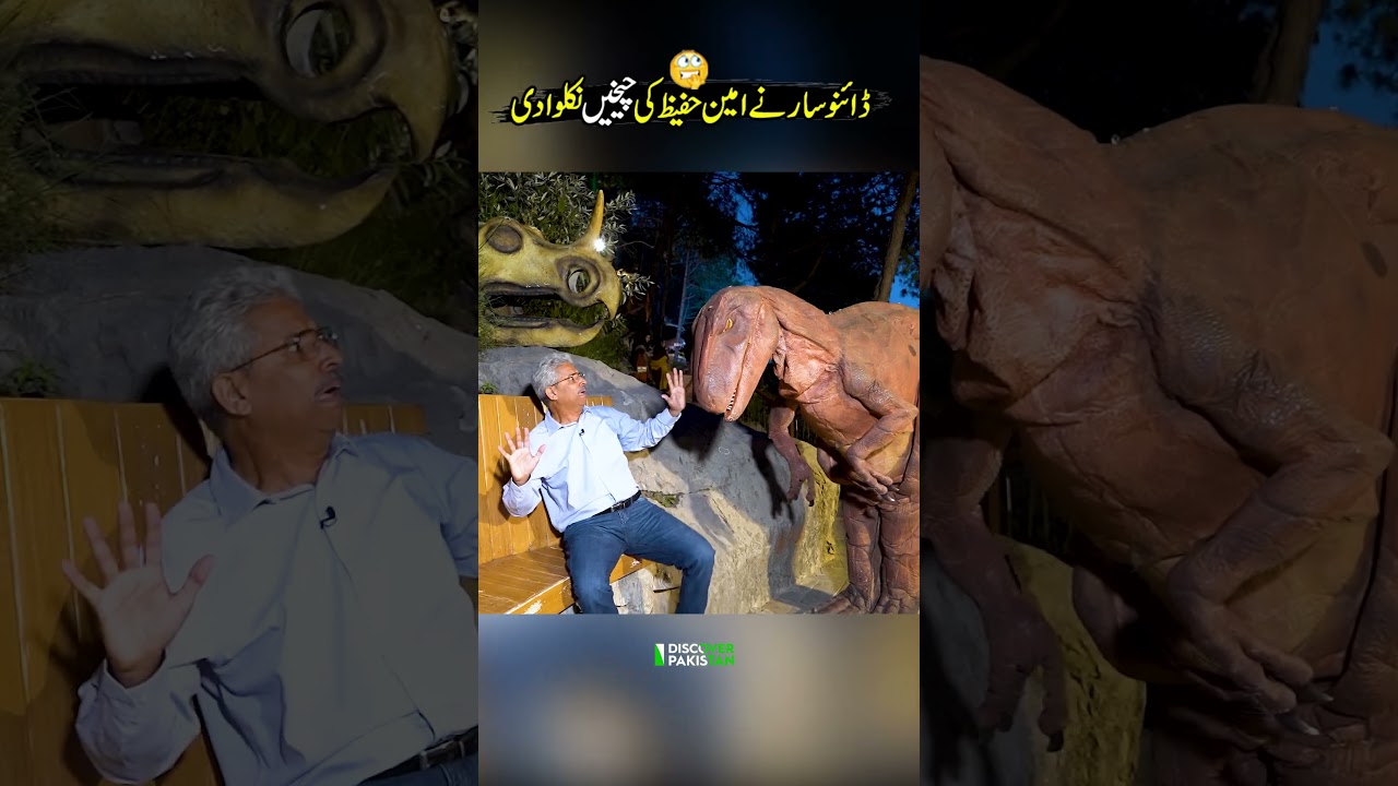 Amin Hafeez at Dino valley Islamabad