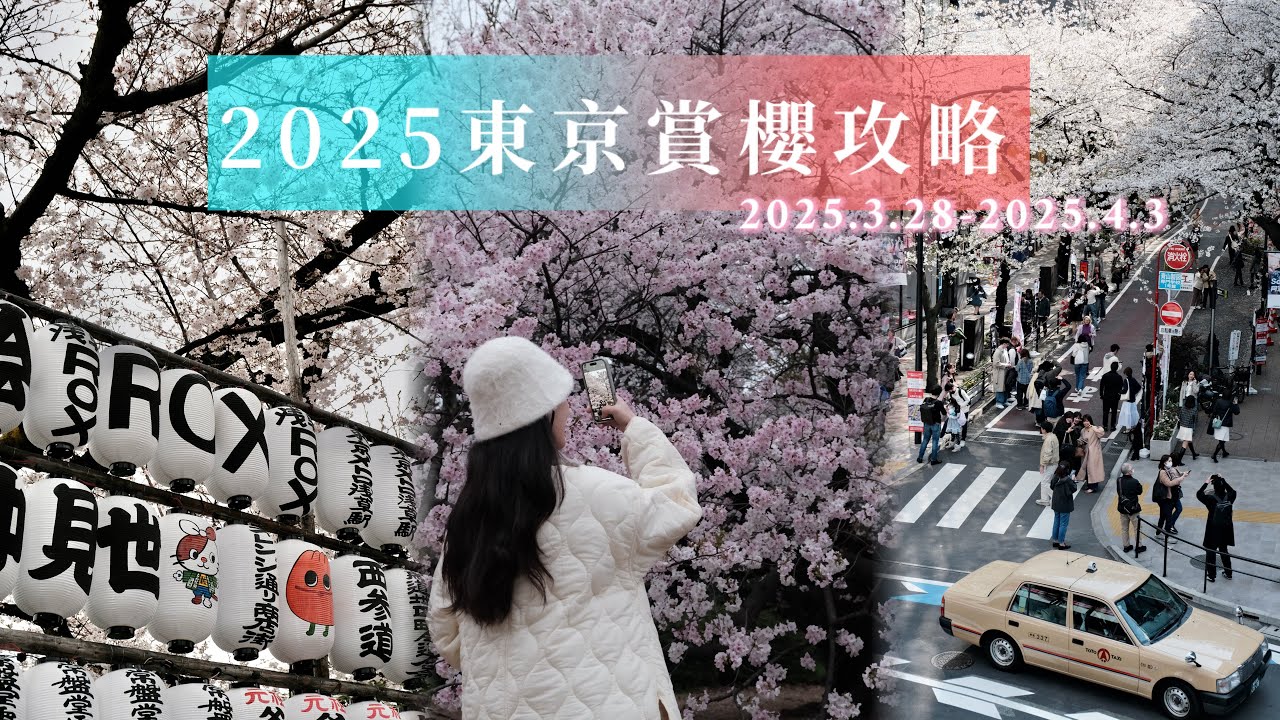 2025 東京賞櫻攻略🌸📝｜路線推薦 / 櫻花現況 / 拍照機位 / 必去小眾景點 / 機票住宿分享