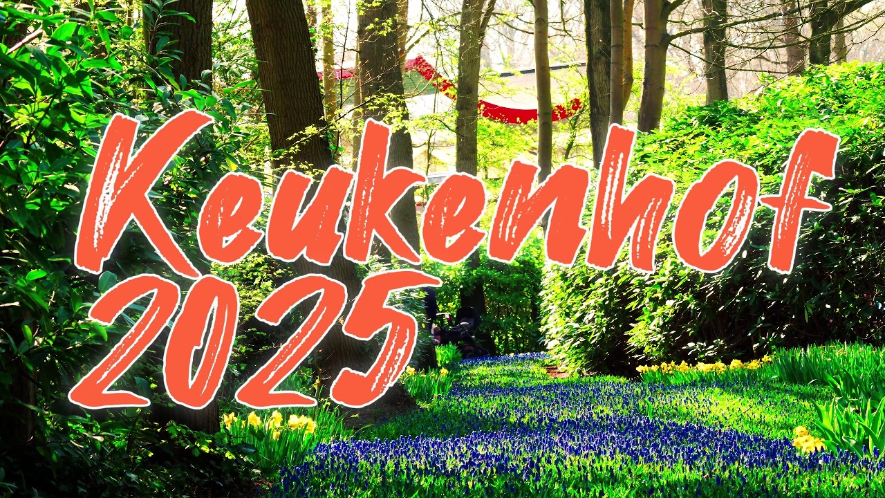 🌷 Keukenhof 2025 – Full Garden Walks & Peak Bloom 4K