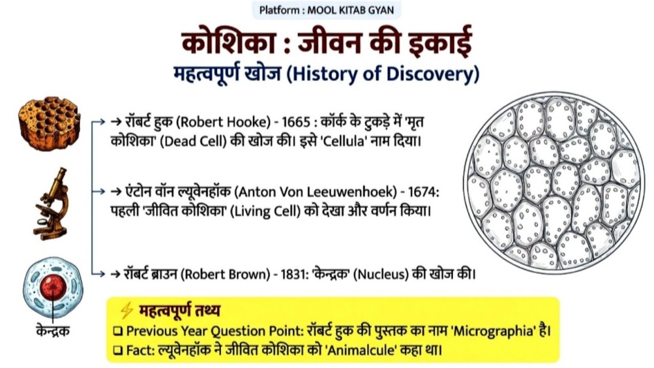 Cell Structure & Function / कोशिका सरंचना एवं कार्य 🔥 100% Concept Clear in One Class