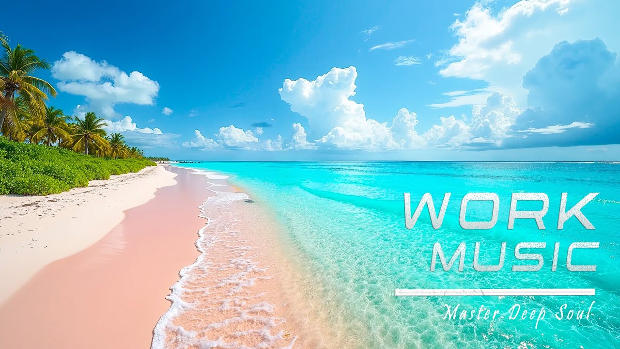 Your New Study Sanctuary 🌿 | Chill Focus Beats (3.5 Hours)
