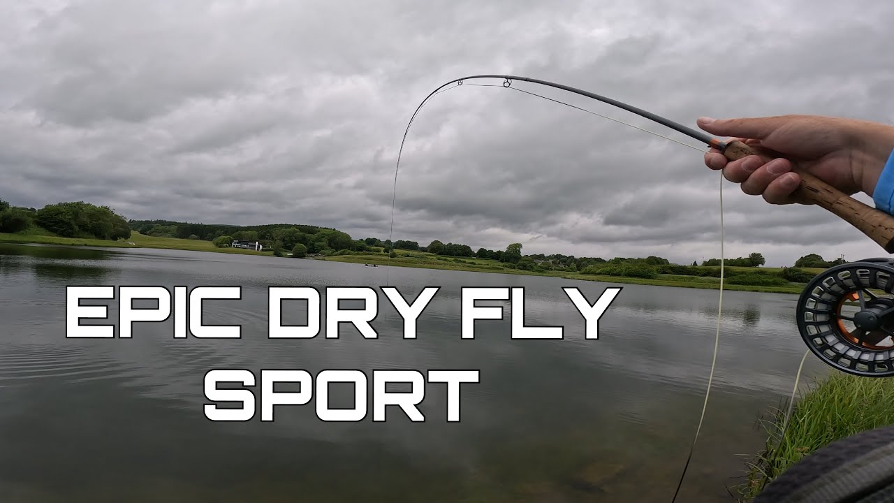 EPIC DRY FLY FISHING AT YNYSYFRO