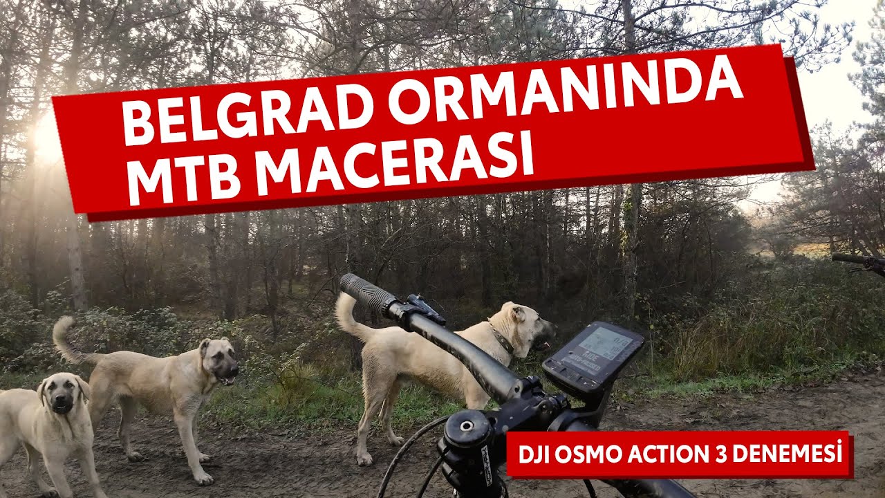 Belgrad ormanına MTB ile dalalım. DJI Osmo Acton 3 Denemesi