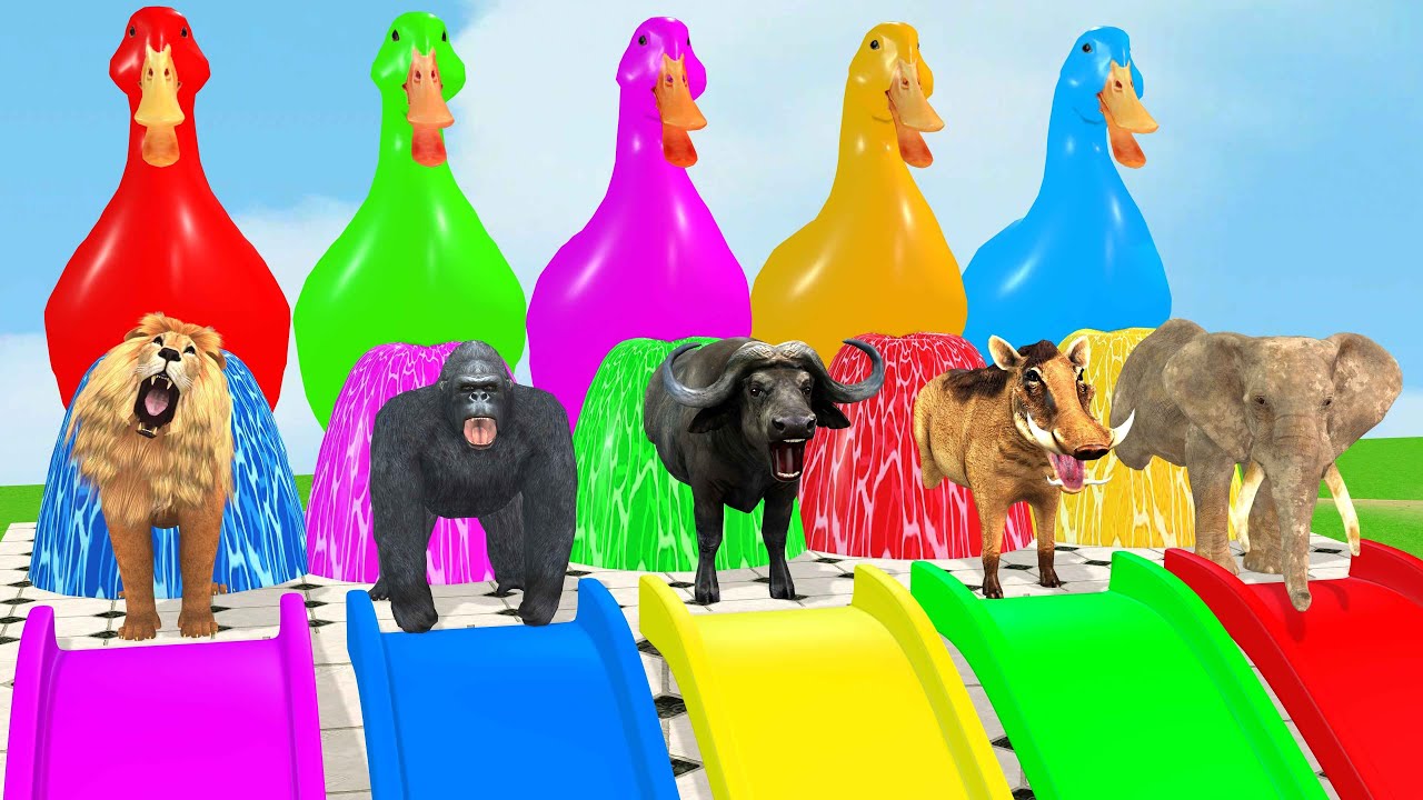 Long Slide Game With Cow Elephant Gorilla Hippopotamus Tiger 3d Animal Game Funny 3d Animals