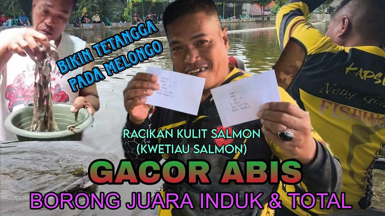 Gacor Abis...Kwetiau Salmon Bikin Tetangga Pada Melongo,Borong Induk dan Total