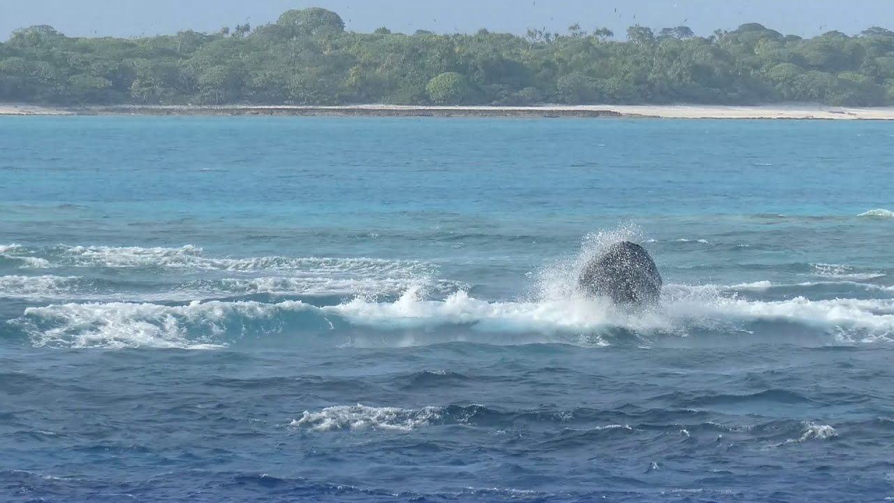 Rough waters around Oeno