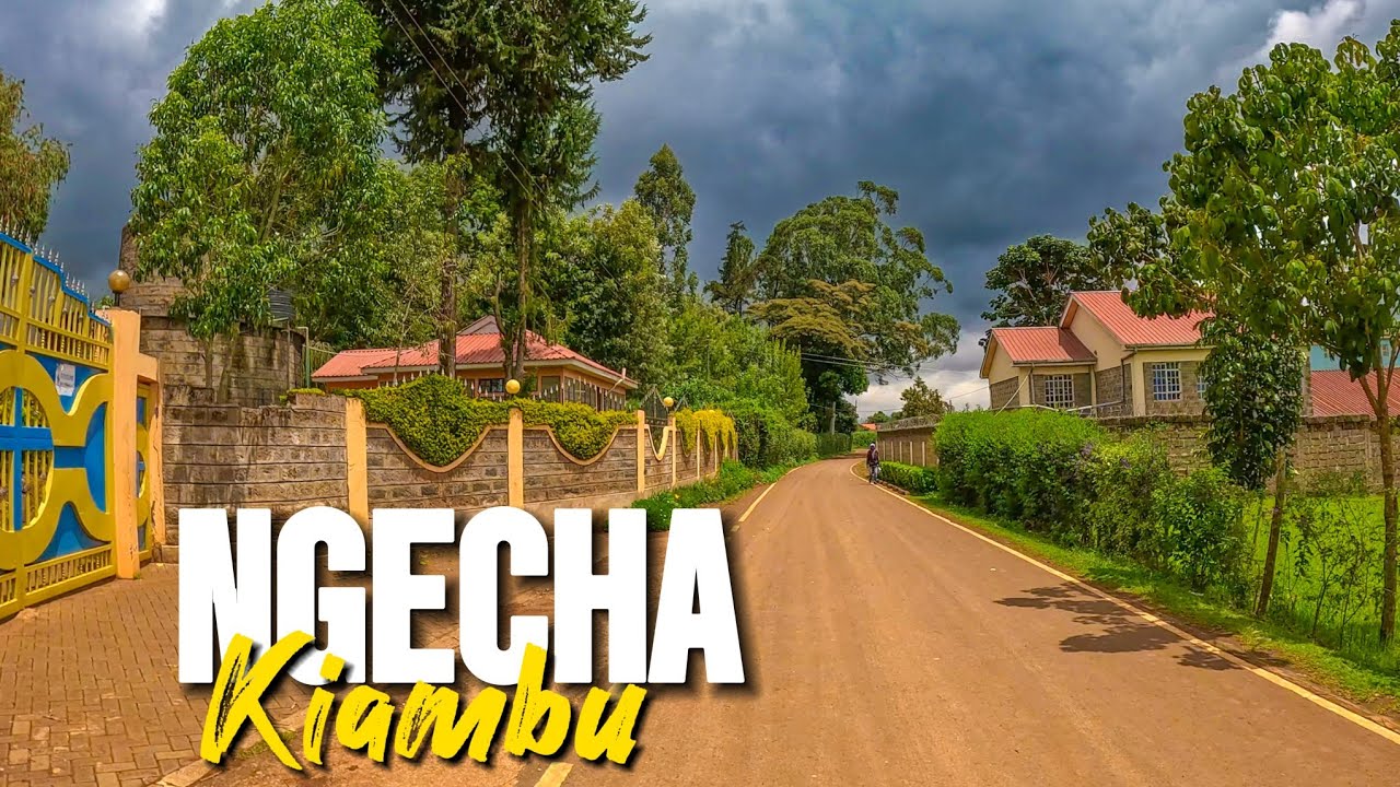Ngecha: Where Butcheries and Bars Rule the Town! 🇰🇪