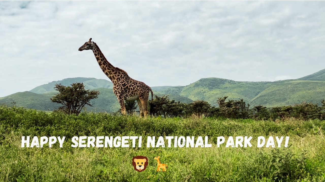#episode5 Serengeti National Park, Amazing space, Nature, wildlife Tanzania East Africa Safari