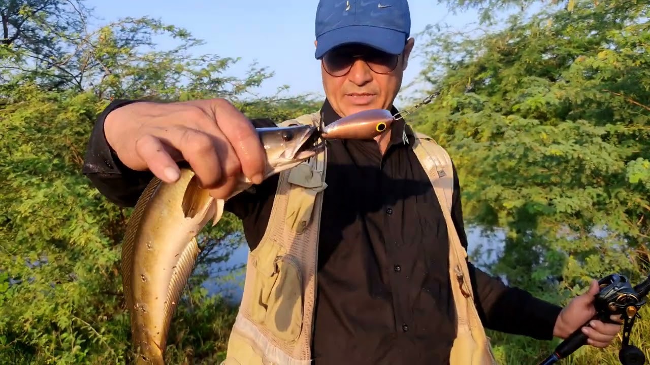snakehead fishing || jump frog fishing & cooking