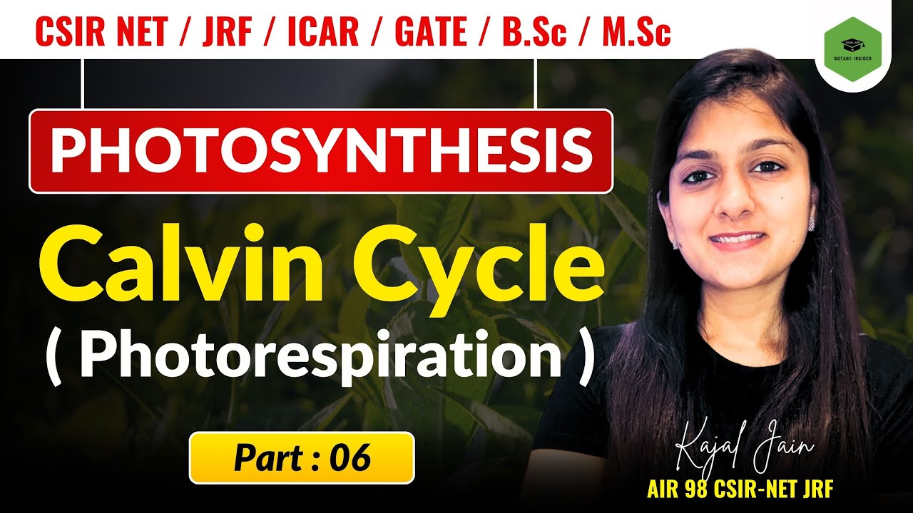 PHOTOSYNTHESIS(PART6)-DARK REACTION | CALVIN CYCLE | PHOTORESPIRATION- PYQ | CSIR-NET I GATE