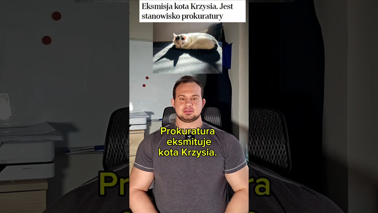 Prokuratura eksmituje kota Krzysia.#prawo #prawnik #prokuratura #eksmisja