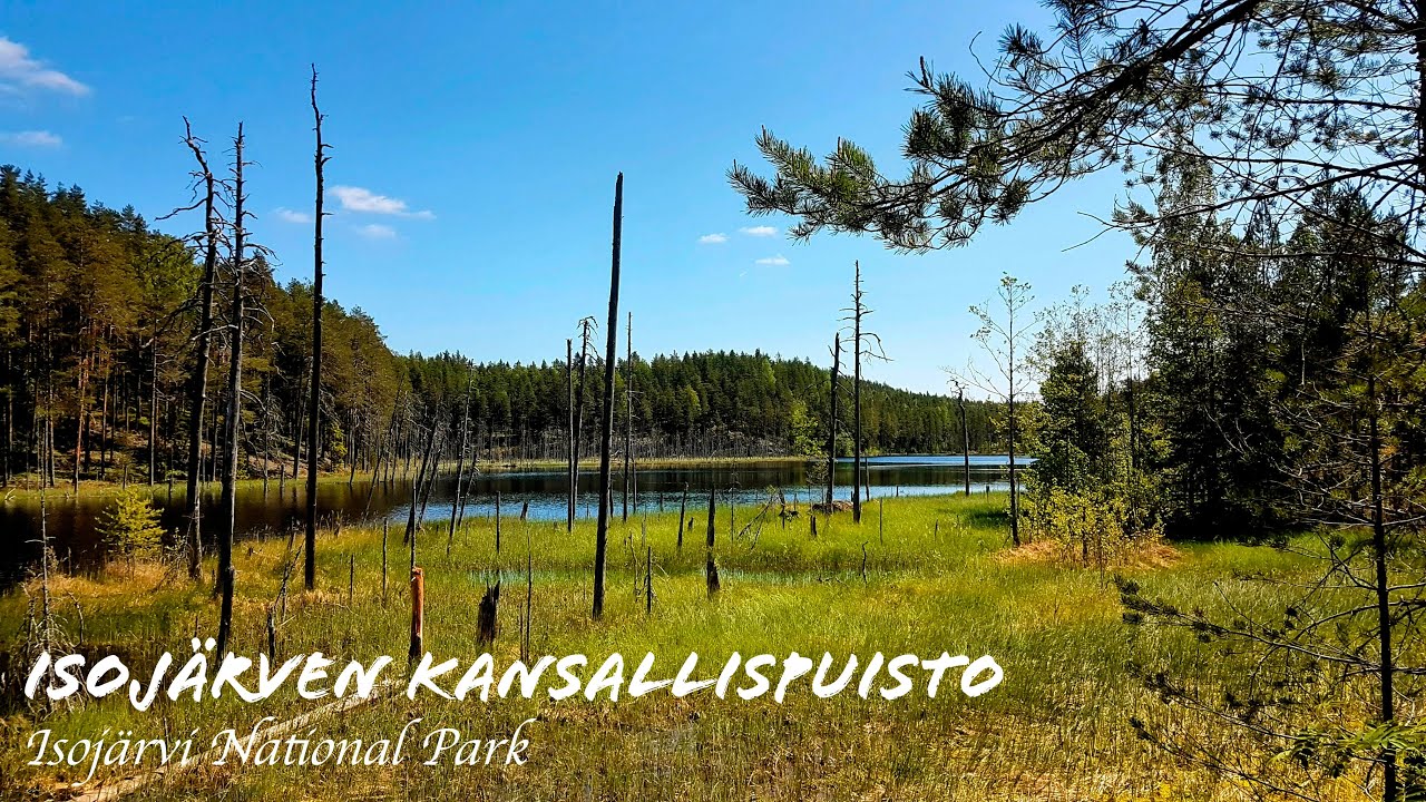 Päiväretki Isojärven kansallispuistoon - Day Trip to Isojärvi National Park in Finland