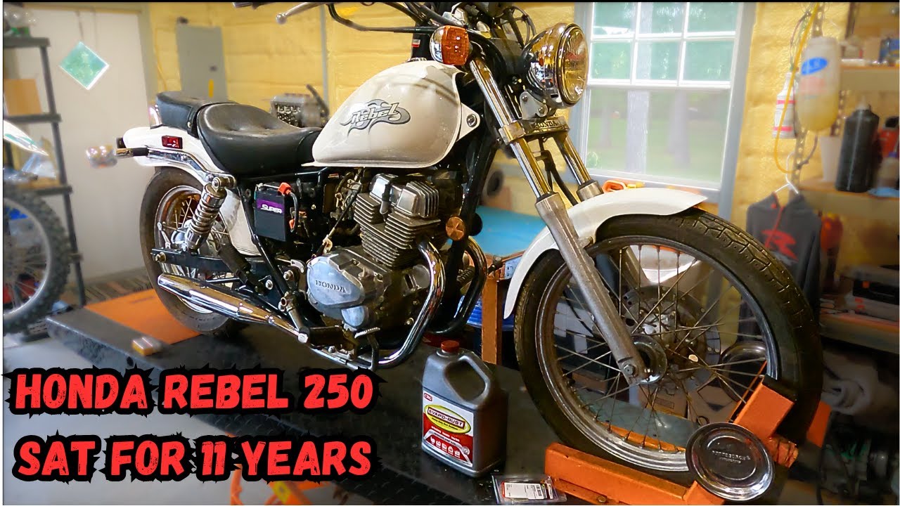 Honda Rebel 250 sat for 11 year. Can we bring it back to life?