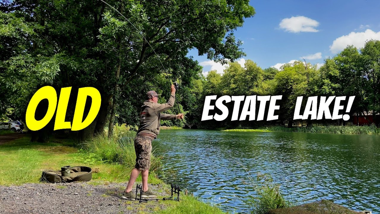 Carp Fishing - Double session at an OLD Estate Lake/Day ticket Park Lake!