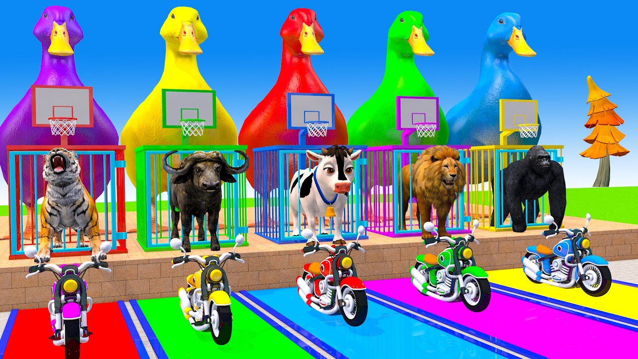 Long Slide Game With Cow Elephant Gorilla Hippopotamus Tiger 3d Animal Game Funny 3d Animals
