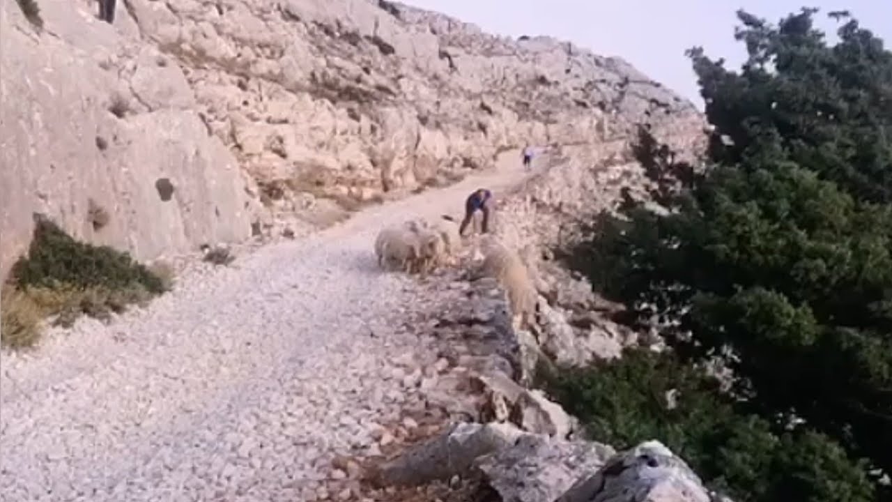 Sardegna - Salendo sul Monte Corrasi...🐑🐑🐑