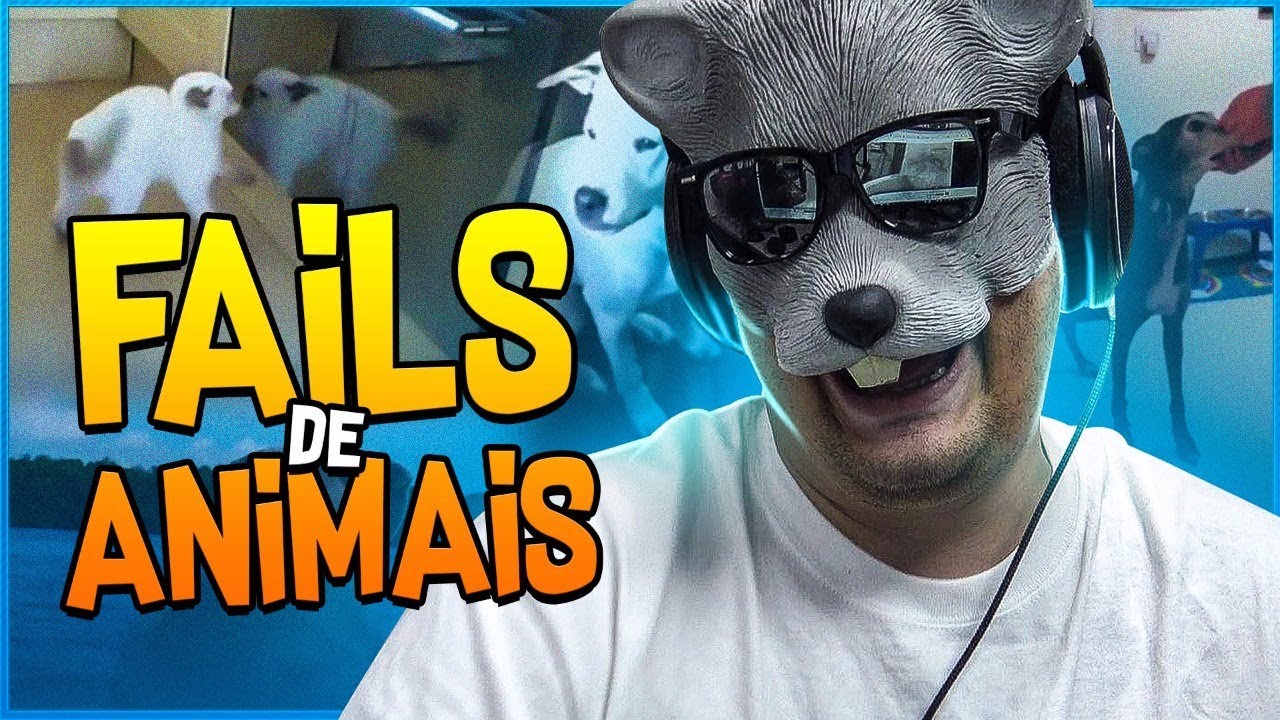 TAMTAM FICOU COM CIÚMES DOS CACHORROS 🐶