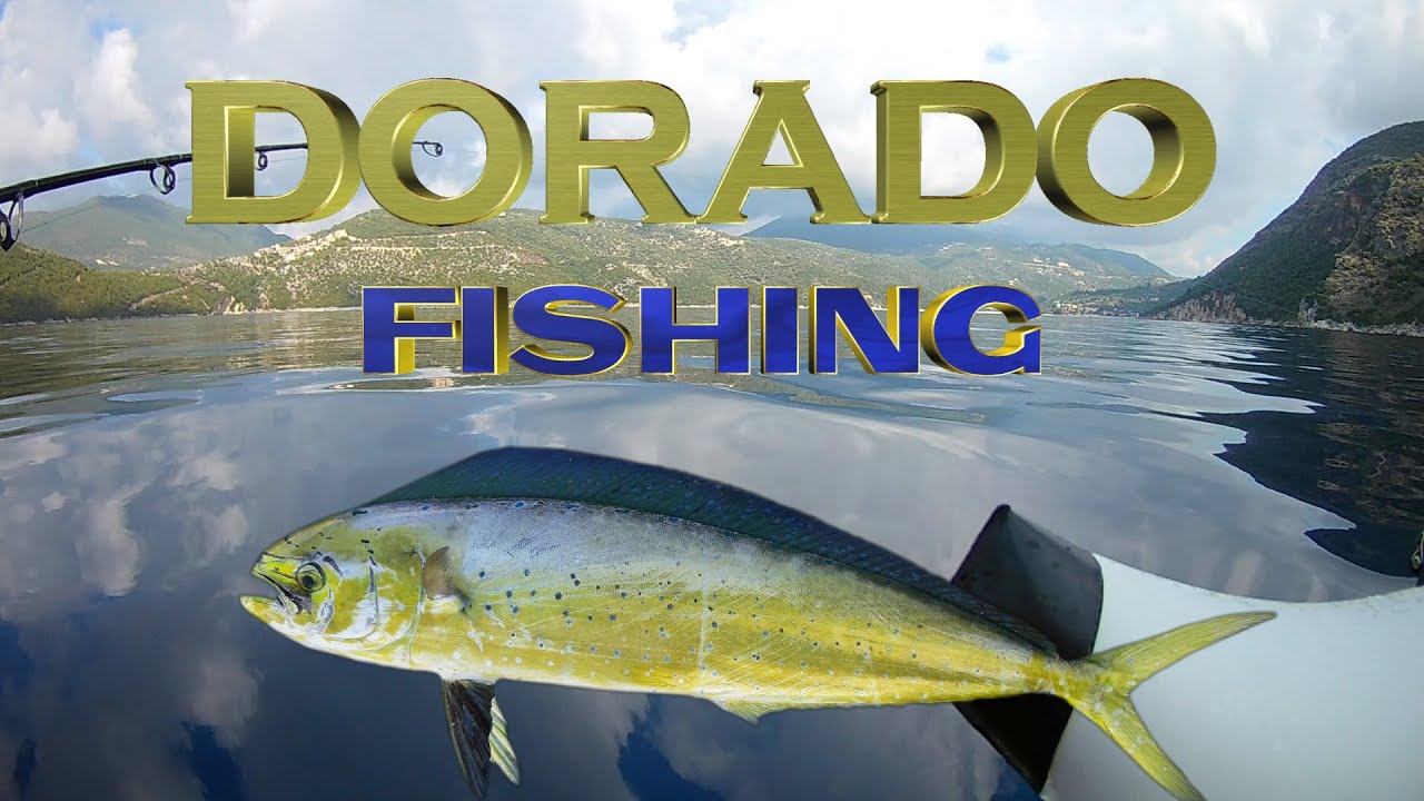 DORADO   FISHING - Greece