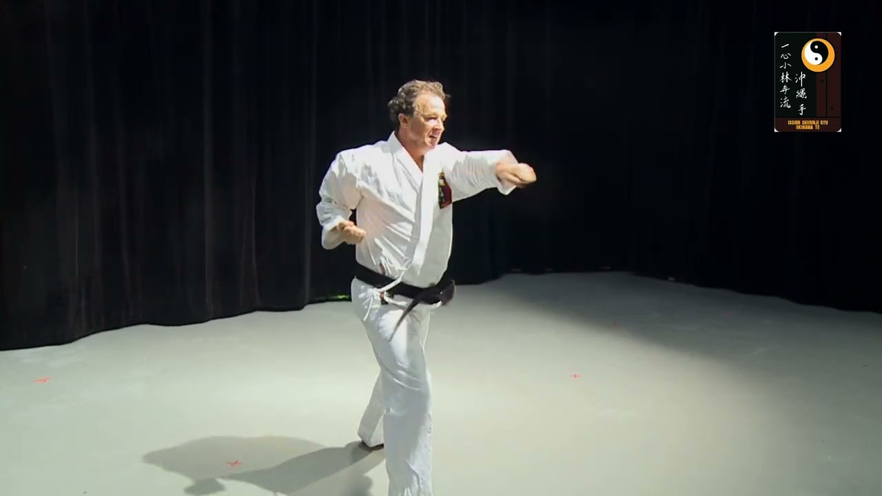 Sunsu - Shihan Robert Cusumano #karate #martialarts #sunsu