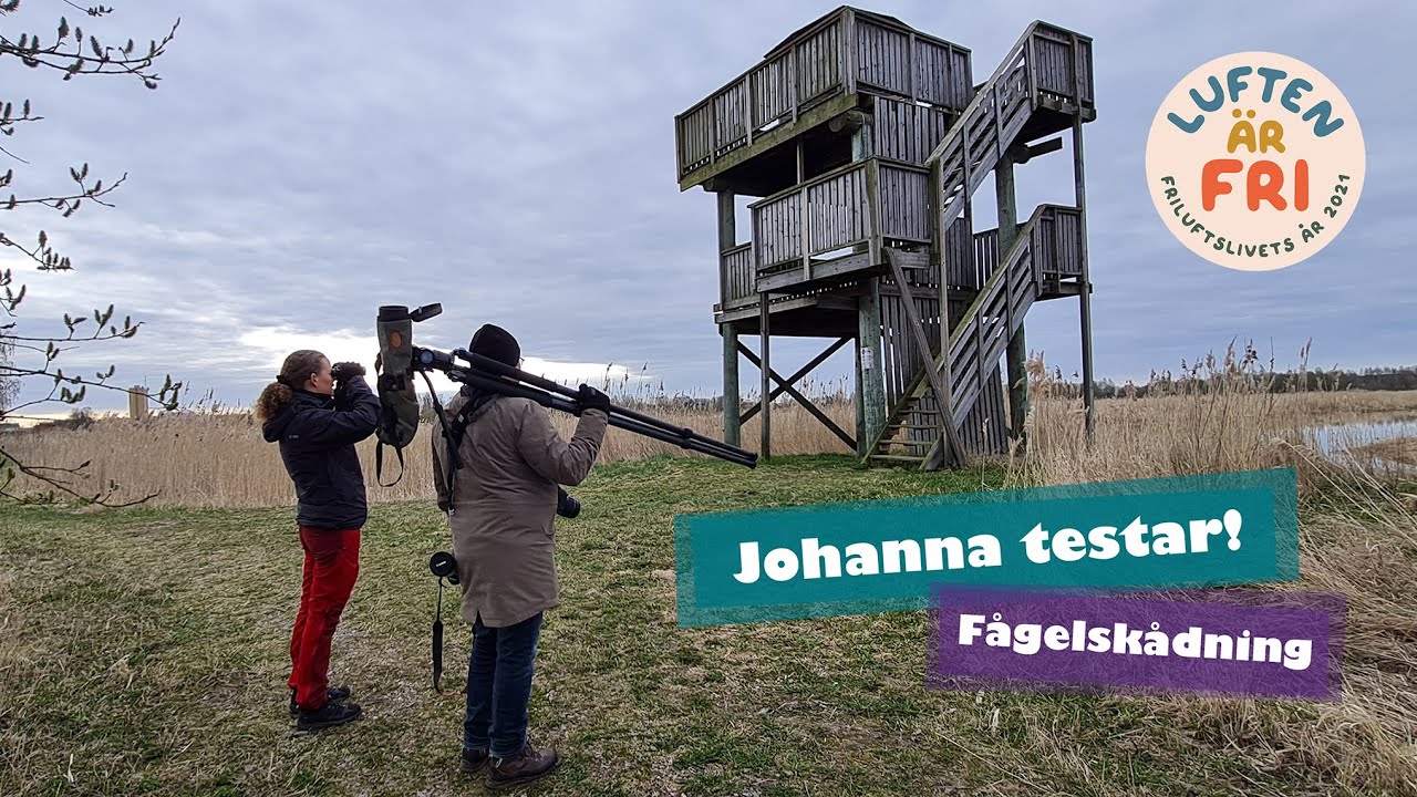 Johanna testar - Fågelskådning i Björka Vissberga lertag naturreservat