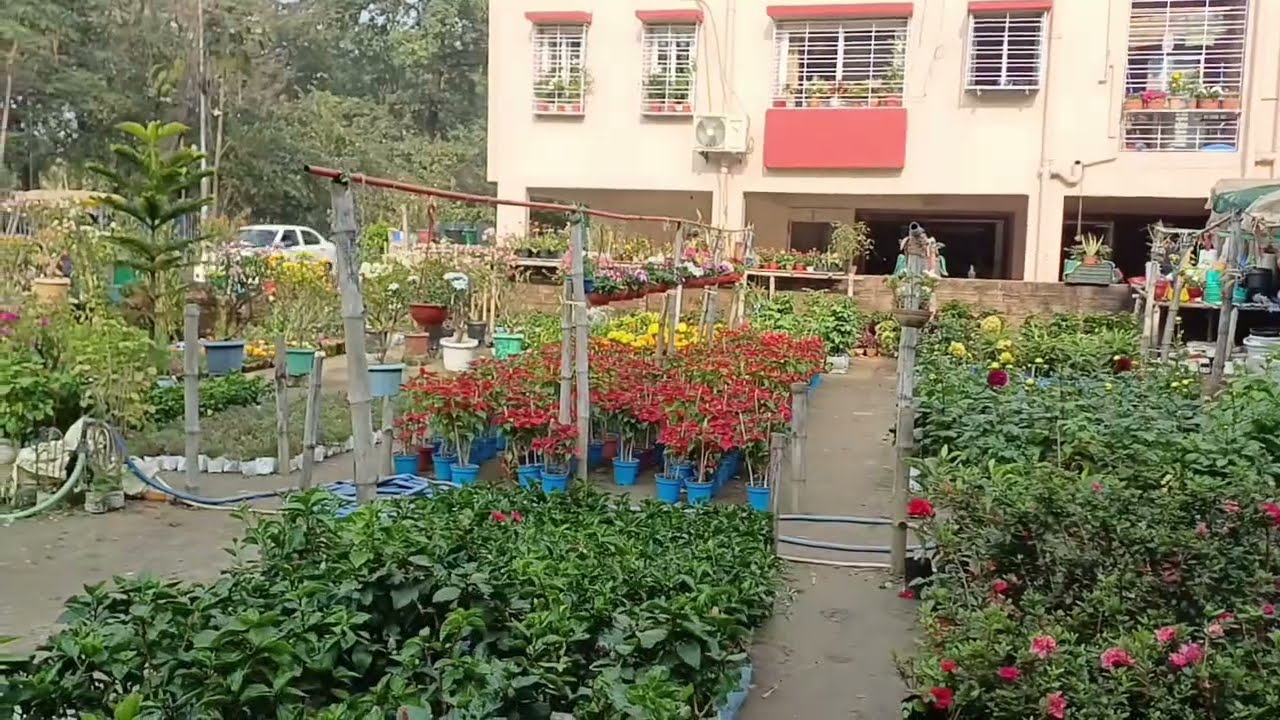 সুন্দর একটি পার্কের ভিডিও | Beautiful Park Video 
