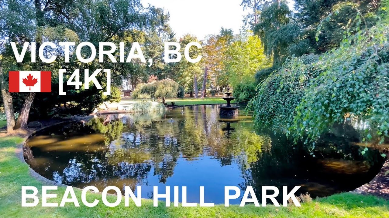 🇨🇦[4k] walking tour in Beacon Hill Park, Victoria, BC, Canada, September 2023