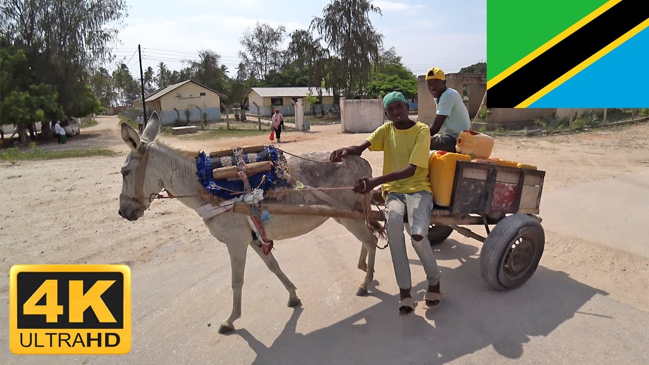 Matemwe Zanzibar e2