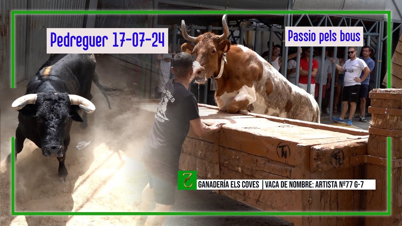 Pedreguer 17 ▪  07 ▪ 24 Suelta de els coves Y suelta de 4 Cerriles ▪ A C T Passio pels bous.
