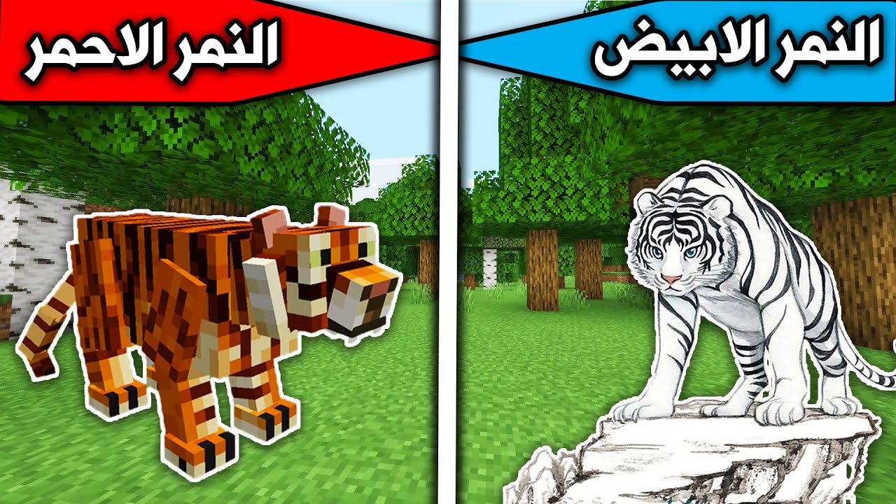 فلم ماين كرافت : النمر الابيض والنمر الاحمر MineCraft Movie