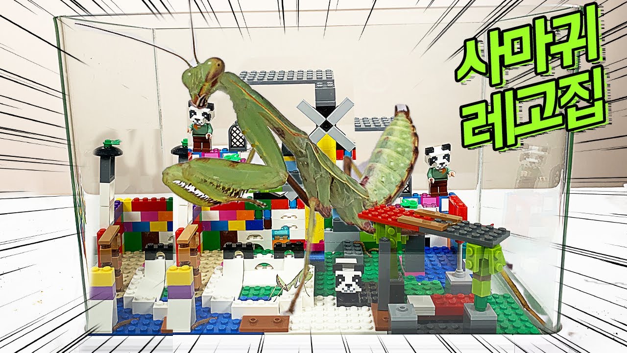 사마귀에게 레고호텔을 만들어주었습니다!